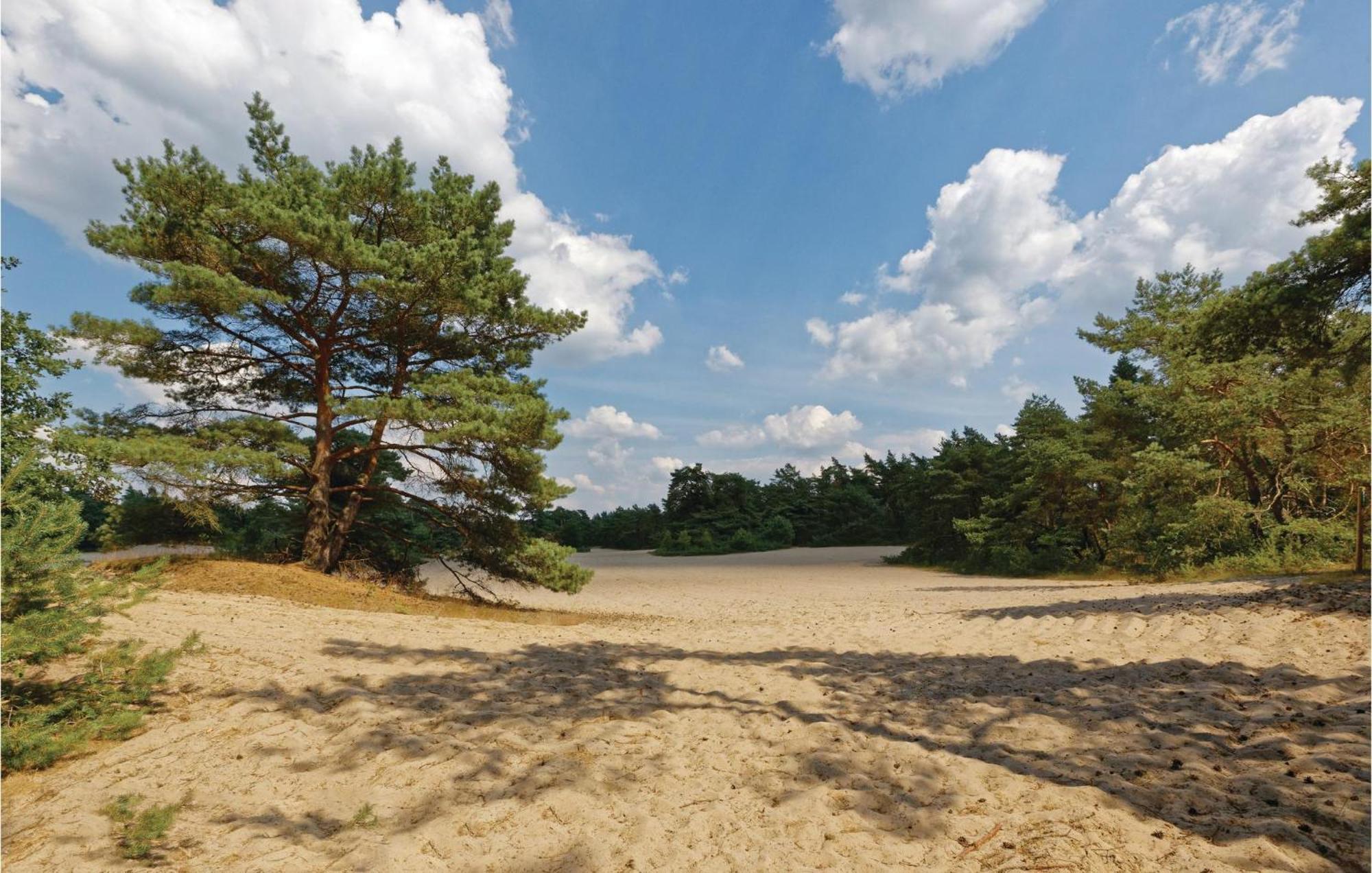 Vila Weidemanssheide Ommen Exteriér fotografie