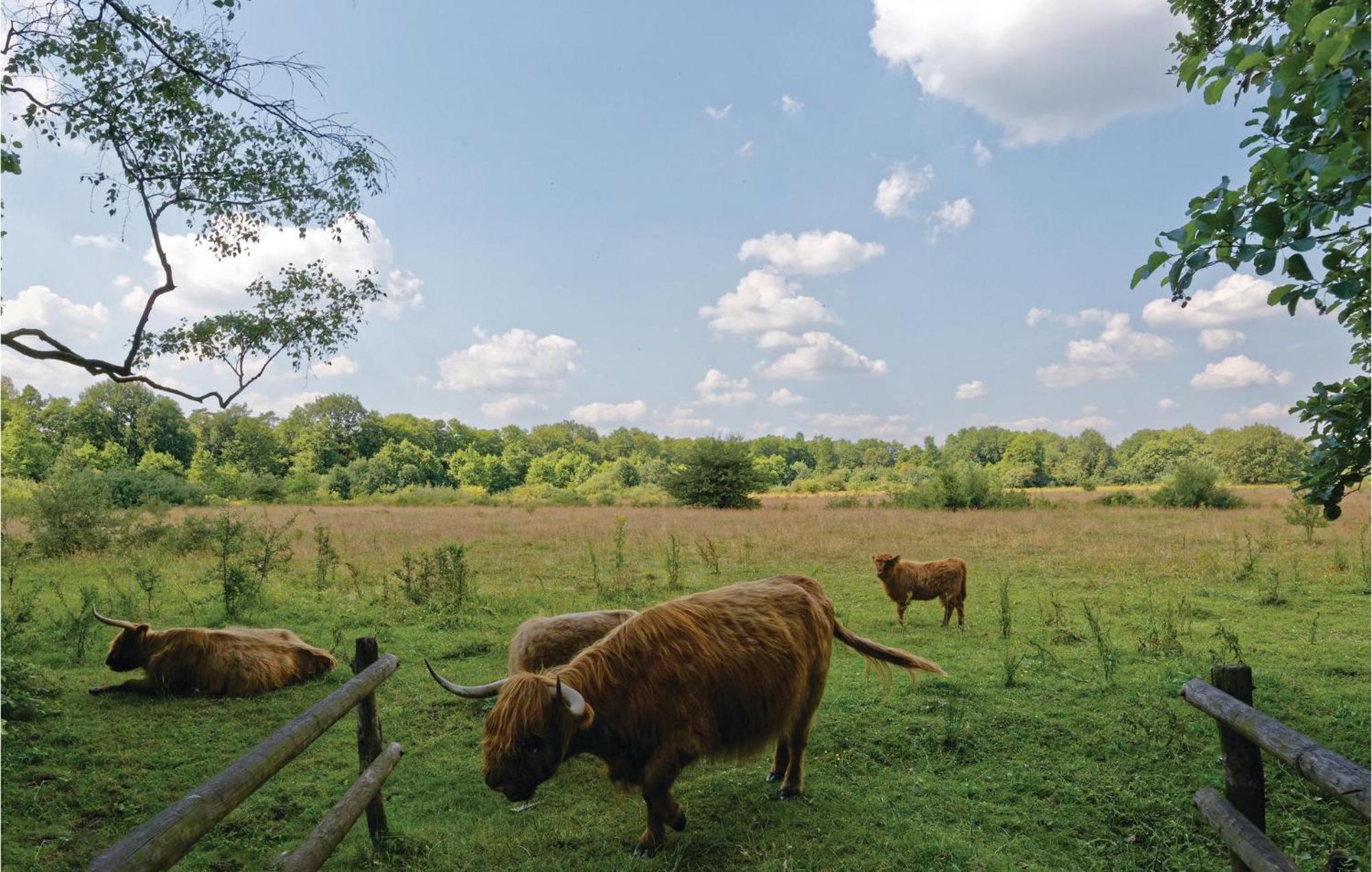 Vila Weidemanssheide Ommen Exteriér fotografie